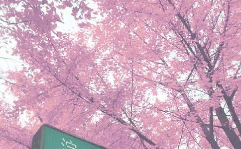 ��ʵ�ã�����＾��ѧ�ƻ�12ƪ