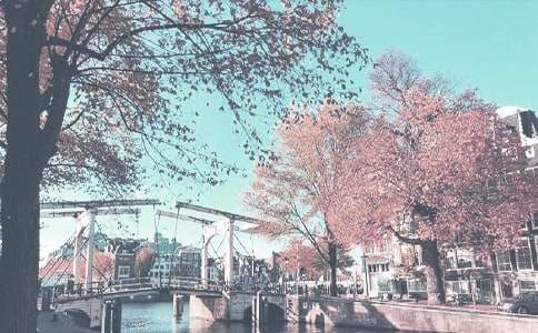 �＾С���ѧ�ƻ�