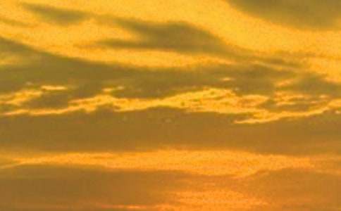 精选日落小学作文锦集7篇