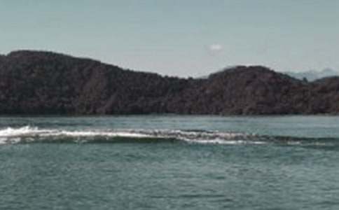 ������̶����ѧ��˼����ѡ��