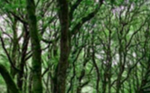 《森林报》读后感