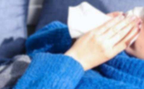 ����������ο����