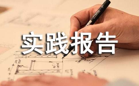 2023年有关社会实践报告