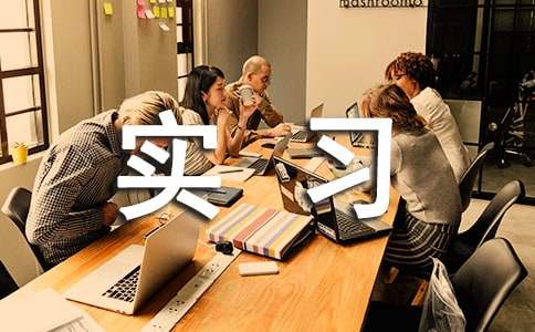 ʵϰЭ�������15ƪ