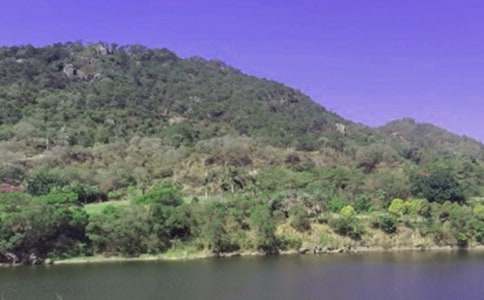 ˮ��а���ͬ������15ƪ��