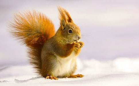 ��������ɹ�����ѧ��˼