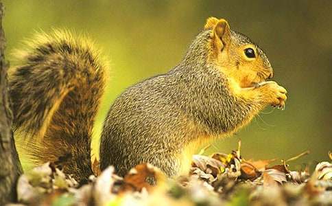 �����󡷽�ѧ��˼