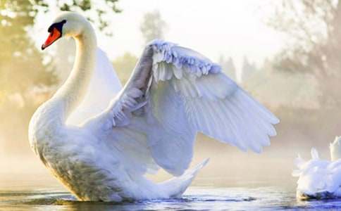 ��������ɺ���������