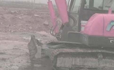 �����ھ��������ͬ����