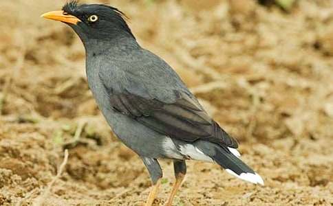 ����ѻ��ˮ����ѧ��˼