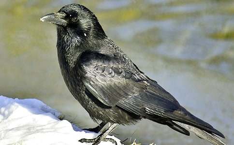 ����ѻ��ˮ����ѧ���