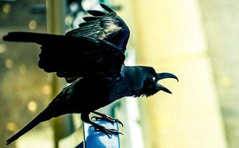 ��ѻ��ˮ��ѧ���ʵ�á�4ƪ��