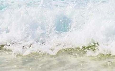 【精华】夏天的小学作文3篇