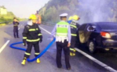 ���������ĵ���ᣨͨ��6ƪ��