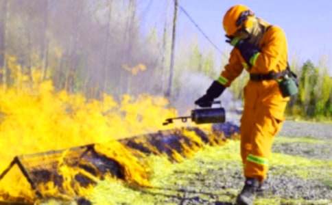 消防宣传月启动仪式的发言稿