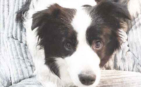 С��ǮǮ�����