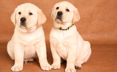 �ɰ���С���������ģ���ѡ34ƪ��