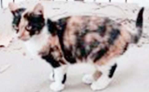 Сè��������ͨ��15ƪ