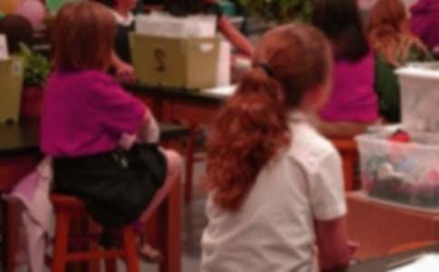 【推荐】小学生周记集合八篇