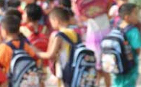 小学生转入学申请书范文