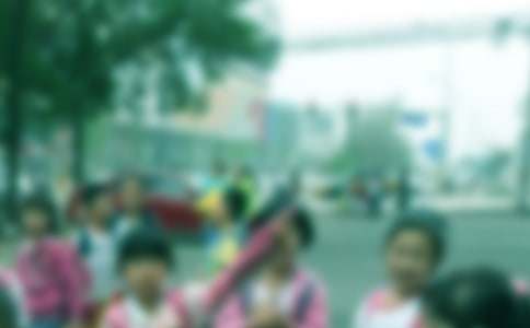 �й�Сѧ���ܼǷ��Ļ��ܰ�ƪ