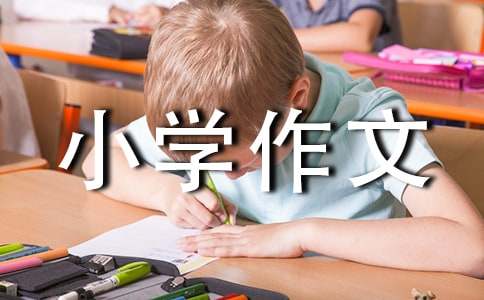 小学作文300字(合集3篇)