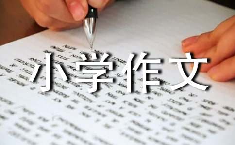 【热门】难忘的小学作文300字四篇