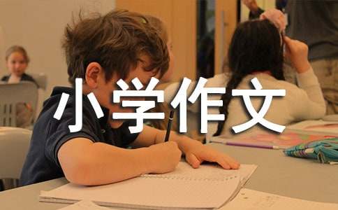 ��ʵ�á�����Сѧ����600����ƪ