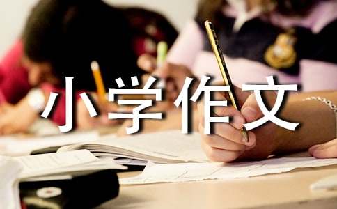 过年小学作文(15篇)