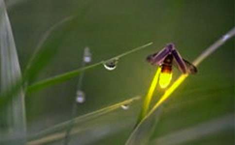 2022ө���֮Ĺ�ۺ��