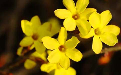 ��������ӭ����Сѧ����3ƪ