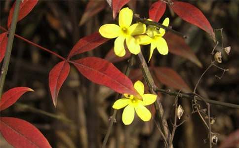 дӭ�������ռ�150��