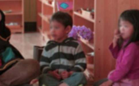 �׶�԰С��˵�θ巶�ļ��ϰ�ƪ