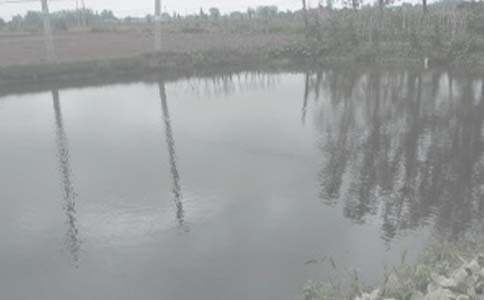 农村鱼塘承包合同范本