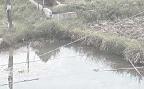 �����а���ͬ(����15ƪ)