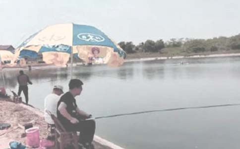 �����а���ͬ��ѡ15ƪ