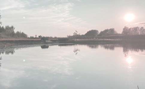 �����а���ͬ�ϼ�15ƪ