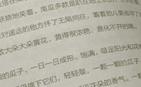 北师大版小学语文教案:《全神贯注》教学片断实录评析