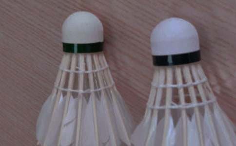 ��ë���ѧ�ƻ�15ƪ