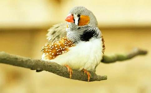 [����]�������񡷽�ѧ���