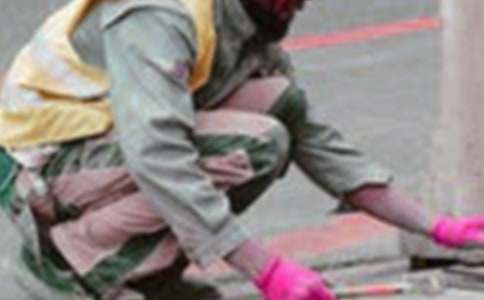 ��ѡ����ְҵ�滮ģ����6ƪ