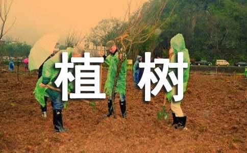 高中植树作文
