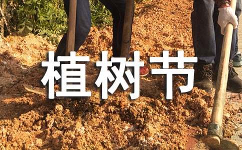 植树节主题活动策划