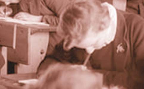 ��ѧ�����������