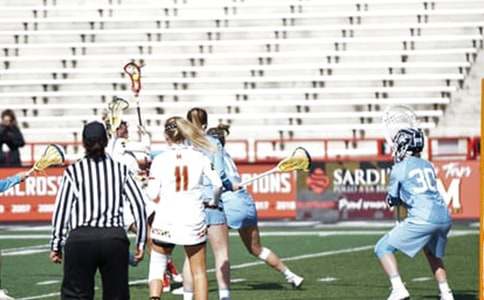 ��ѧ�������鼯��15ƪ