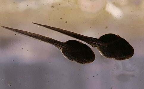 С����������ѧ��˼[����15ƪ]