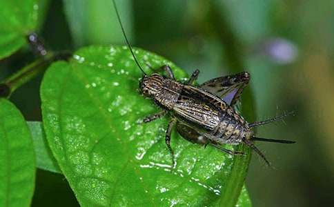 ���סլ��ѧ��˼