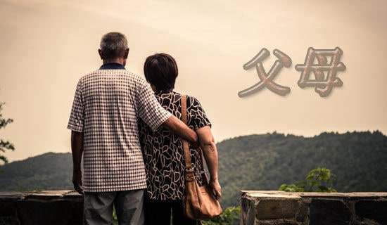 ����ĸ�ĸ�л��ģ����8ƪ