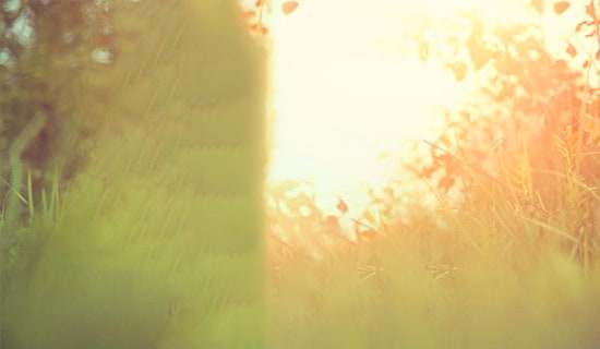 唯美跨年祝贺词30句