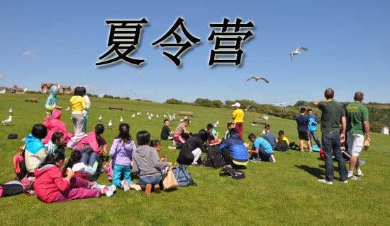 ��ͯ��������Ӫ��߻���